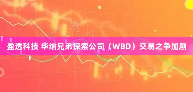 盈透科技 华纳兄弟探索公司（WBD）交易之争加剧